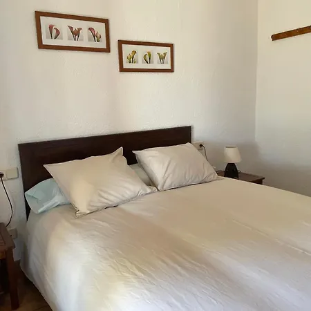 Cal Mosso Tatil Evi Collsuspina